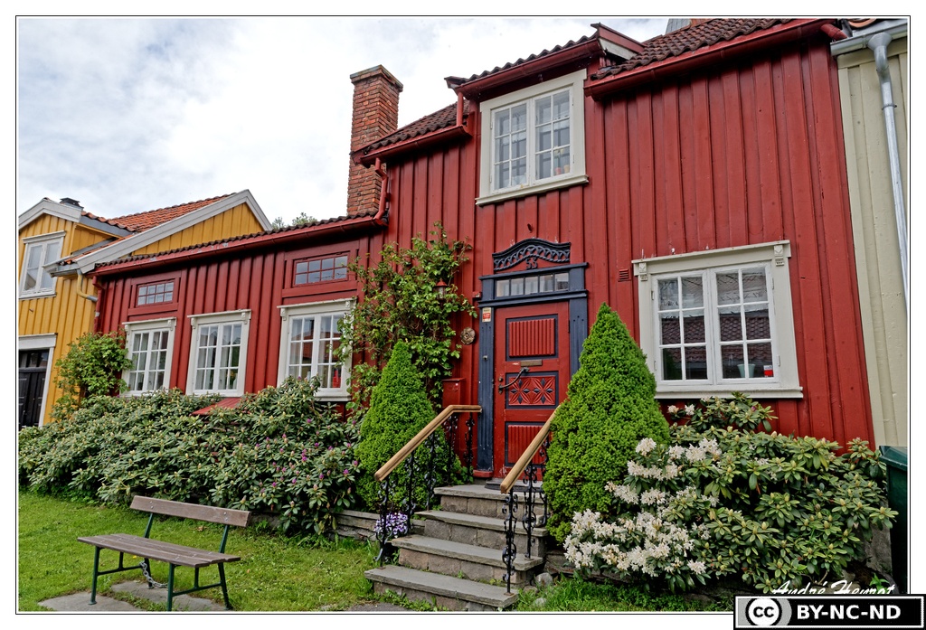 Trondheim Belle-maison DSC 4175