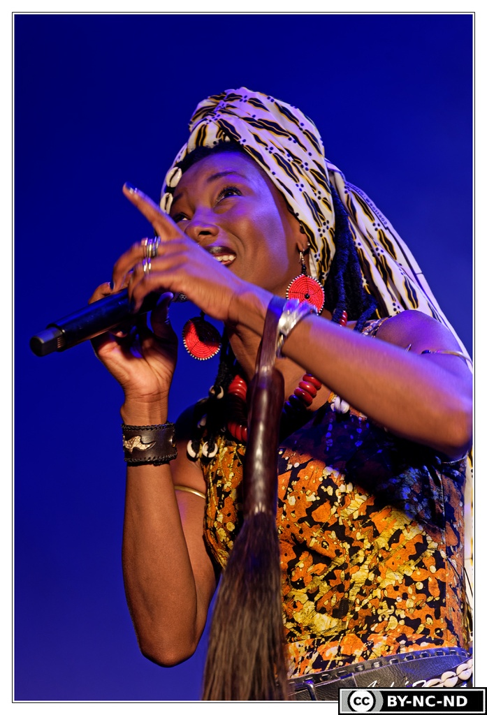 Fatoumata-Diawara DSC 0411 