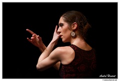 Danse