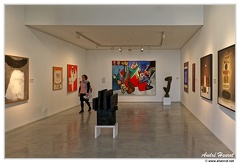 Danubiana Interieur DSC 5461