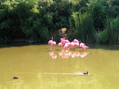 Parc des Oiseaux - Villars-lès-Dombes