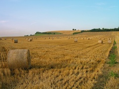 Auvergne