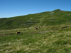 Plomb du Cantal