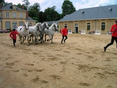 Limousin