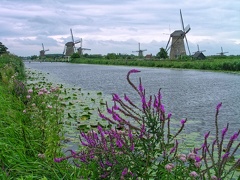 Moulins de Kinderdijk
