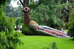 Mainau Insel