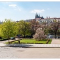 Prague Chateau-Royal&Cathedrale DSC 9497