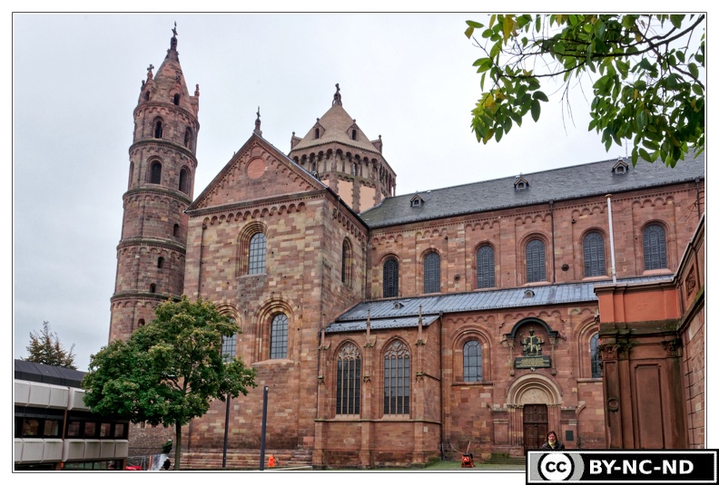 Worms Cathedrale-Saint-Pierre DSC 0034