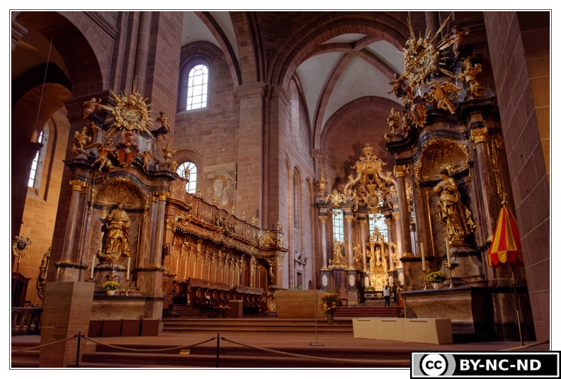 Worms Cathedrale-Saint-Pierre Vue-interieure DSC 0008