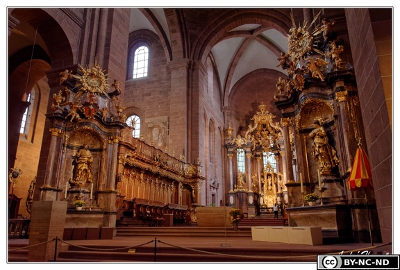 Worms Cathedrale-Saint-Pierre Vue-interieure DSC 0008
