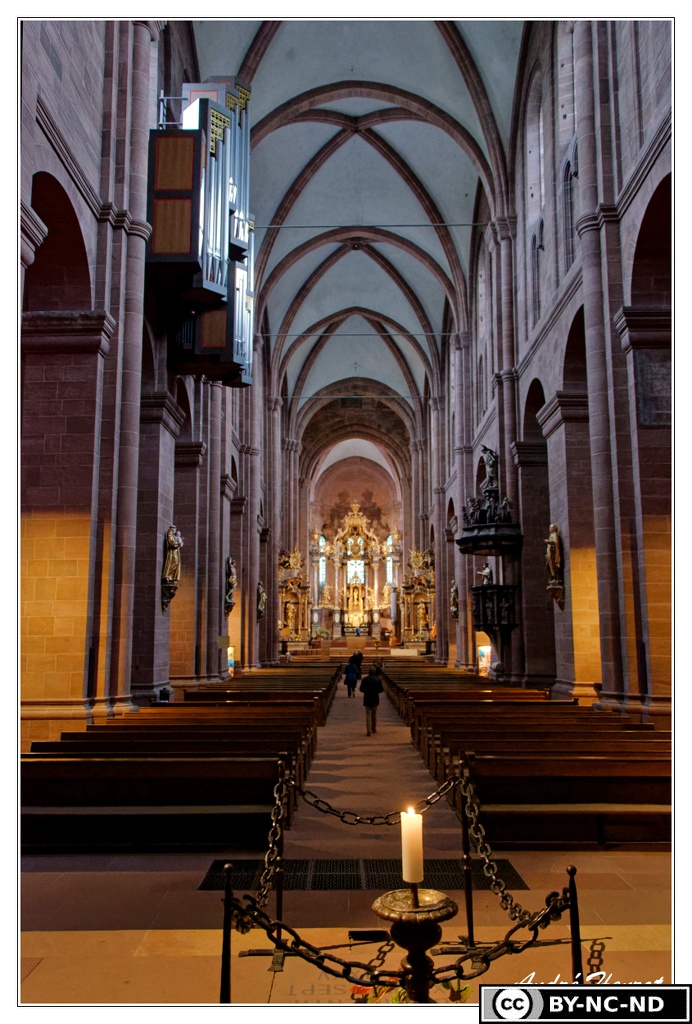 Worms Cathedrale-Saint-Pierre Vue-interieure DSC 0015