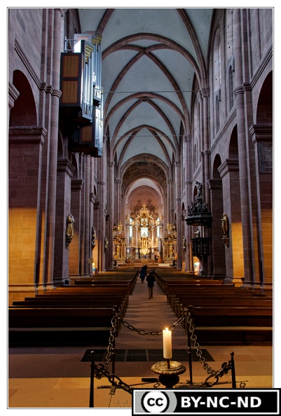 Worms Cathedrale-Saint-Pierre Vue-interieure DSC 0015