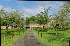 Chateau-de-Valliquerville DSC 0330 1200