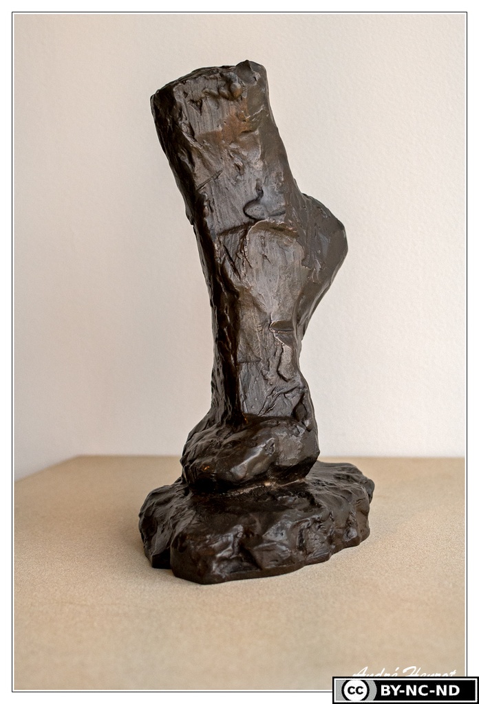 Musee-Matisse Etude-de-Pied-Bronze Henri-Matisse DSC 4768