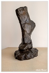Musee-Matisse Etude-de-Pied-Bronze Henri-Matisse DSC 4768