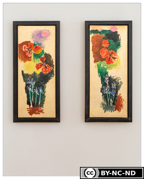 Musee-Matisse Iris&amp;Coquelicots Henri-Matisse DSC 4763