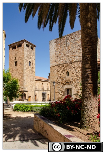 Caceres_Palazio-y-Torre-de-Los-Galarza_Palzio-del-Marques-de-CamarenaDSC_0394.jpg