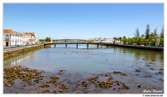 Tavira DSC 0565