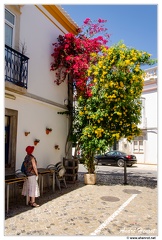 Tavira DSC 0569