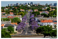 Lisbonne Avenida-Tore-de-Belem DSC 1009