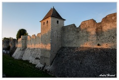 Provins Remparts DSC 0308