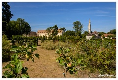 Abbaye-Royaumont DSC 0228