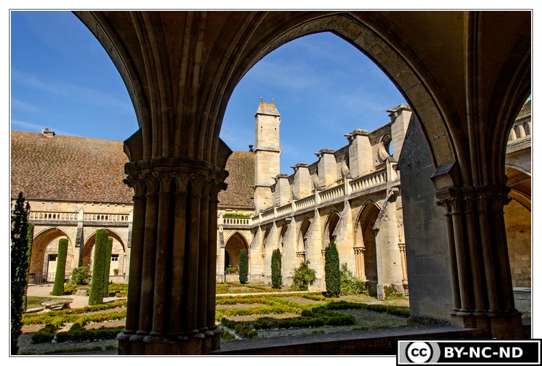 Abbaye-Royaumont_Cloitre_DSC_0236.jpg