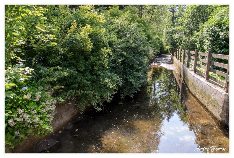 Scierie-du-Lancoir Bief-arrivee-d-eau DSC 0198