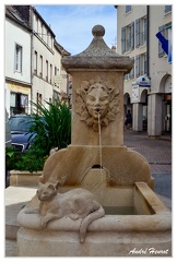 Fontaine Nogent-sur-Seine 2012-08-03 DSC 0320 WM