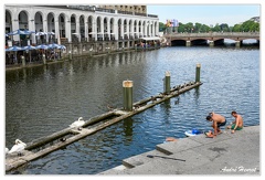 Hambourg Cygnes Paddle DSC5921