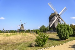 Gifhorn Musee-des-moulins DSC6227 1200