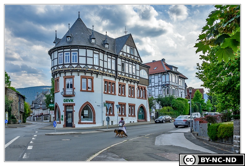 Goslar_DSC6321_1200.jpg