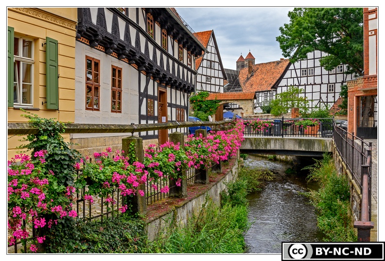 Quedlinburg_DSC6831.jpg
