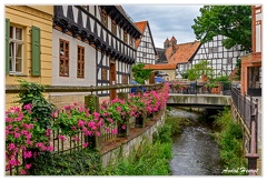 Quedlinburg DSC6831