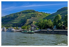 Bingen-Bacharach-en-bateau Assmanns-Hausen DSC7411