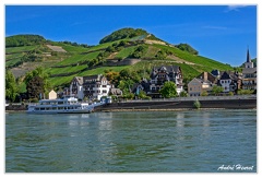 Bingen-Bacharach-en-bateau Assmannshausen DSC7574