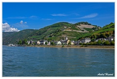 Bingen-Bacharach-en-bateau Assmannshausen DSC7578