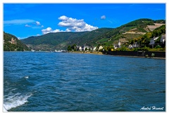 Bingen-Bacharach-en-bateau Assmannshausen DSC7582