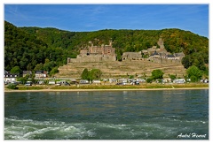 Bingen-Bacharach-en-bateau Burg-Reichenstein DSC7428