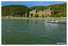 Bingen-Bacharach-en-bateau Burg-Reichenstein DSC7430