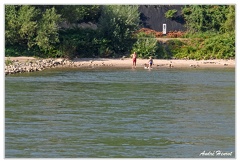 Bingen-Bacharach-en-bateau Burg-Reichenstein Plage DSC7438