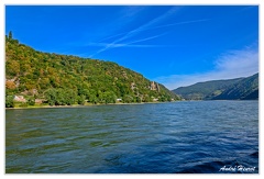 Bingen-Bacharach-en-bateau Burg-Rheinstein DSC7406