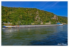 Bingen-Bacharach-en-bateau Burg-Rheinstein DSC7414