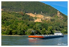 Bingen-Bacharach-en-bateau Burg-Sooneck DSC7441