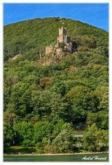 Bingen-Bacharach-en-bateau Burg-Sooneck DSC7443