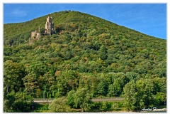 Bingen-Bacharach-en-bateau Burg-Sooneck DSC7444