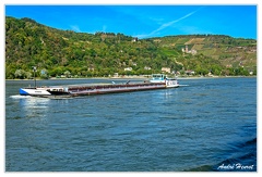 Bingen-Bacharach-en-bateau Burg-Stahleck Bacharach DSC7457