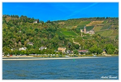 Bingen-Bacharach-en-bateau Burg-Stahleck Bacharach DSC7458