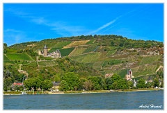 Bingen-Bacharach-en-bateau Burg-Stahleck Bacharach DSC7460