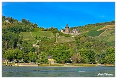 Bingen-Bacharach-en-bateau Burg-Stahleck Bacharach DSC7463